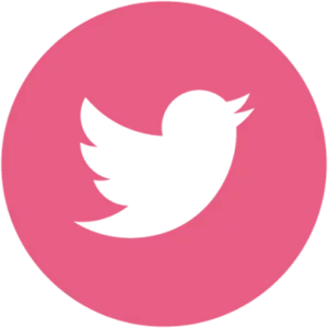 Pink Twitter Bird Logo PNG image