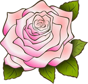 Pink Vector Rose Illustration