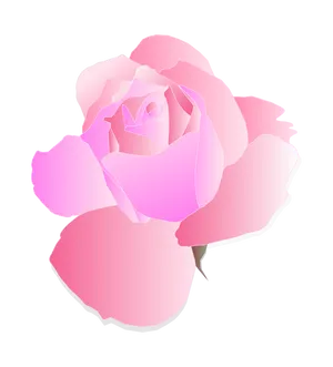 Pink Vector Rose Illustration PNG