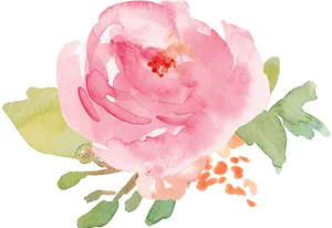 Pink Watercolor Flower Illustration PNG image