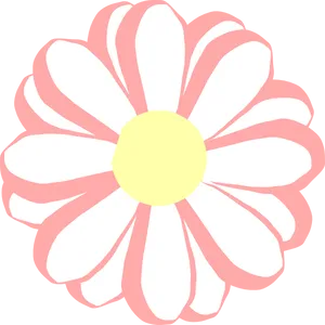 Pink White Daisy Clipart PNG