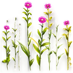 Pink Wildflower Meadow PNG Ebx82