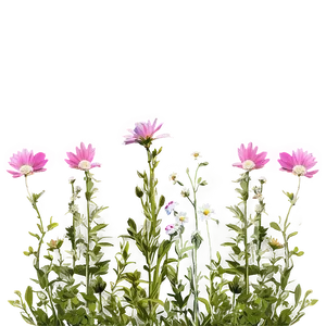 Pink Wildflower Meadow PNG Npv27