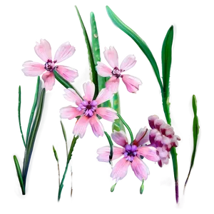 Pink Wildflowers PNG 14