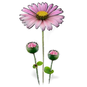Pink Wildflowers PNG 6 PNG