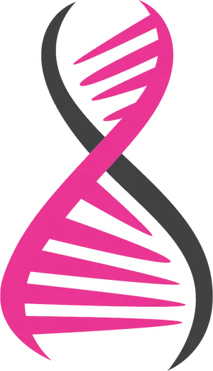 Pinkand Black D N A Structure PNG image