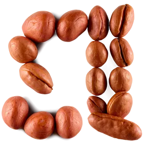 Pinto Bean Texture PNG 05242024