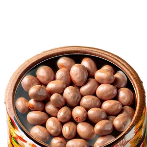 Pinto Beans Can PNG 06212024
