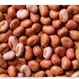 Pinto Beans Can PNG Rbk26 PNG