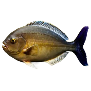 Piranha Fish Transparent PNG 76 PNG