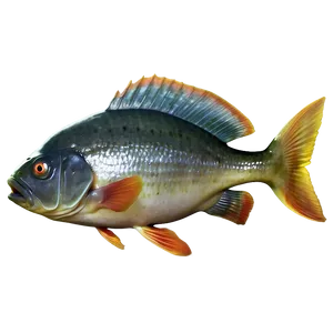 Piranha Fish Transparent PNG Fmr84 PNG