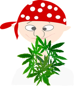 Pirate Cartoonwith Cannabis Leaf