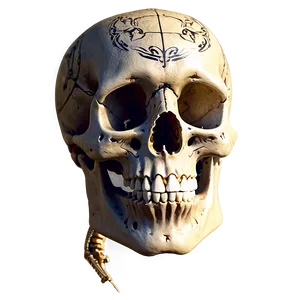 Pirate Skeleton PNG 84