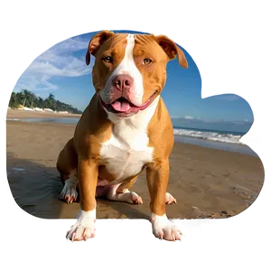 Pitbull At Beach Png 16 PNG image