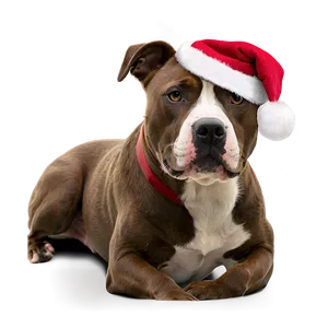 Pitbull Christmas Png 05212024 PNG image