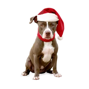 Pitbull Christmas Png 32 PNG image