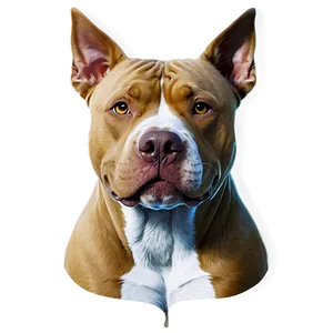 Pitbull Dog Head PNG Yix29 PNG