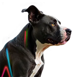 Pitbull Dog Png 05212024 PNG image