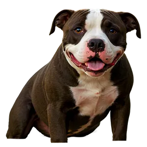 Pitbull Dog Png Lfb PNG image
