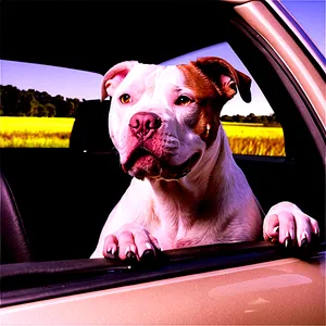 Pitbull In Car Png Egj PNG image