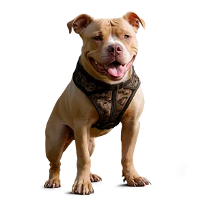 Pitbull In Costume Png 81 PNG image