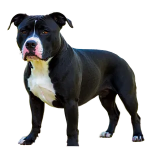 Pitbull In Nature Png 15 PNG image