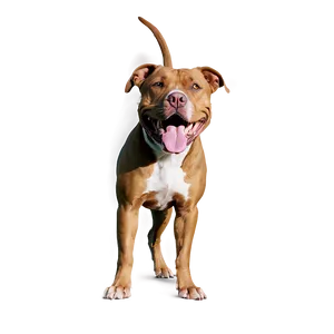 Pitbull In Park Png 05212024 PNG image