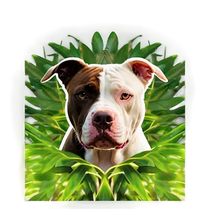 Pitbull In Sunset Png 05212024 PNG image