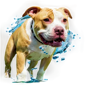 Pitbull In Water Png 05212024 PNG image