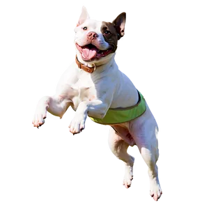 Pitbull Jumping Png Tic3 PNG image
