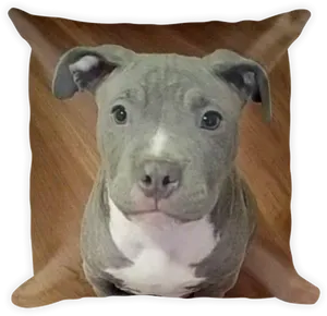 Pitbull Puppy Cushion Portrait PNG image