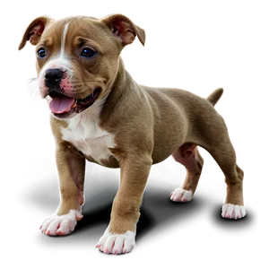 Pitbull Puppy Png 05212024 PNG image