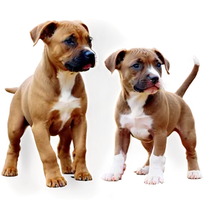 Pitbull Puppy Png Gwp39 PNG image