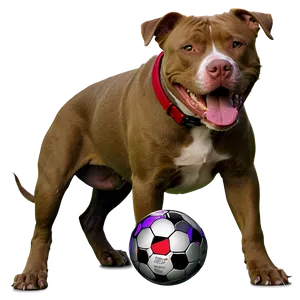 Pitbull With Ball Png 89 PNG image
