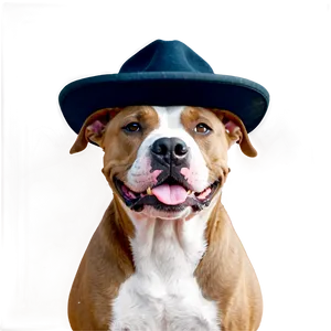 Pitbull With Hat Png Ltm52 PNG image
