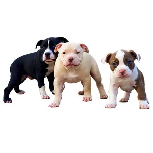 Pitbull With Puppies Png 52 PNG image