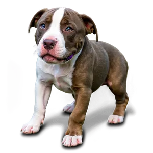 Pitbull With Puppies Png Trt13 PNG image