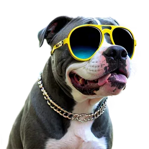 Pitbull With Sunglasses Png 05212024 PNG image