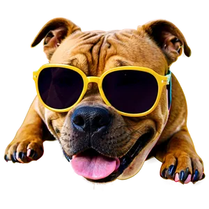 Pitbull With Sunglasses Png 05212024 PNG image