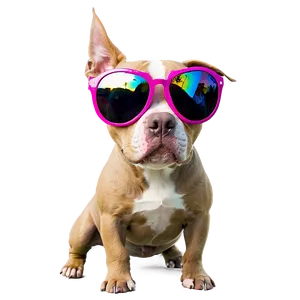 Pitbull With Sunglasses Png 4 PNG image