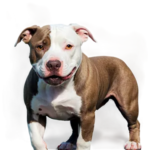 Pitbull With Toy Png Xdt PNG image