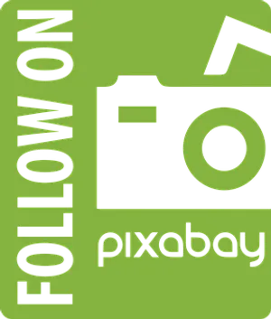 Pixabay Follow On Icon