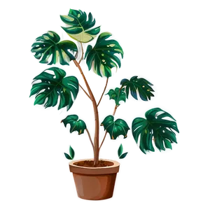Plant B