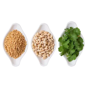 Plant-based Protein Sources PNG Vne59