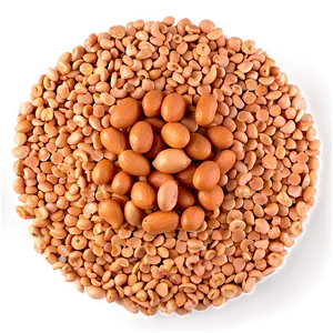 Plant-based Proteins Cooking PNG Lkt PNG