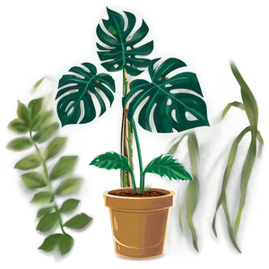 Plant Clipart A PNG image