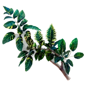 Plant D