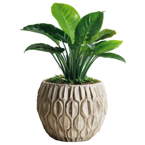Plant-inspired Home Decor PNG Dva28 PNG