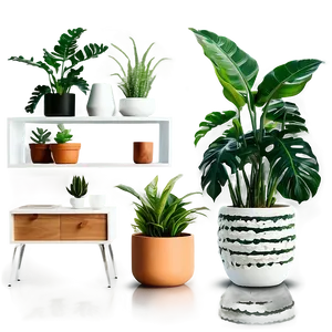 Plant-inspired Home Decor PNG Hdc