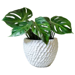 Plant-inspired Home Decor PNG Ugt12 PNG
